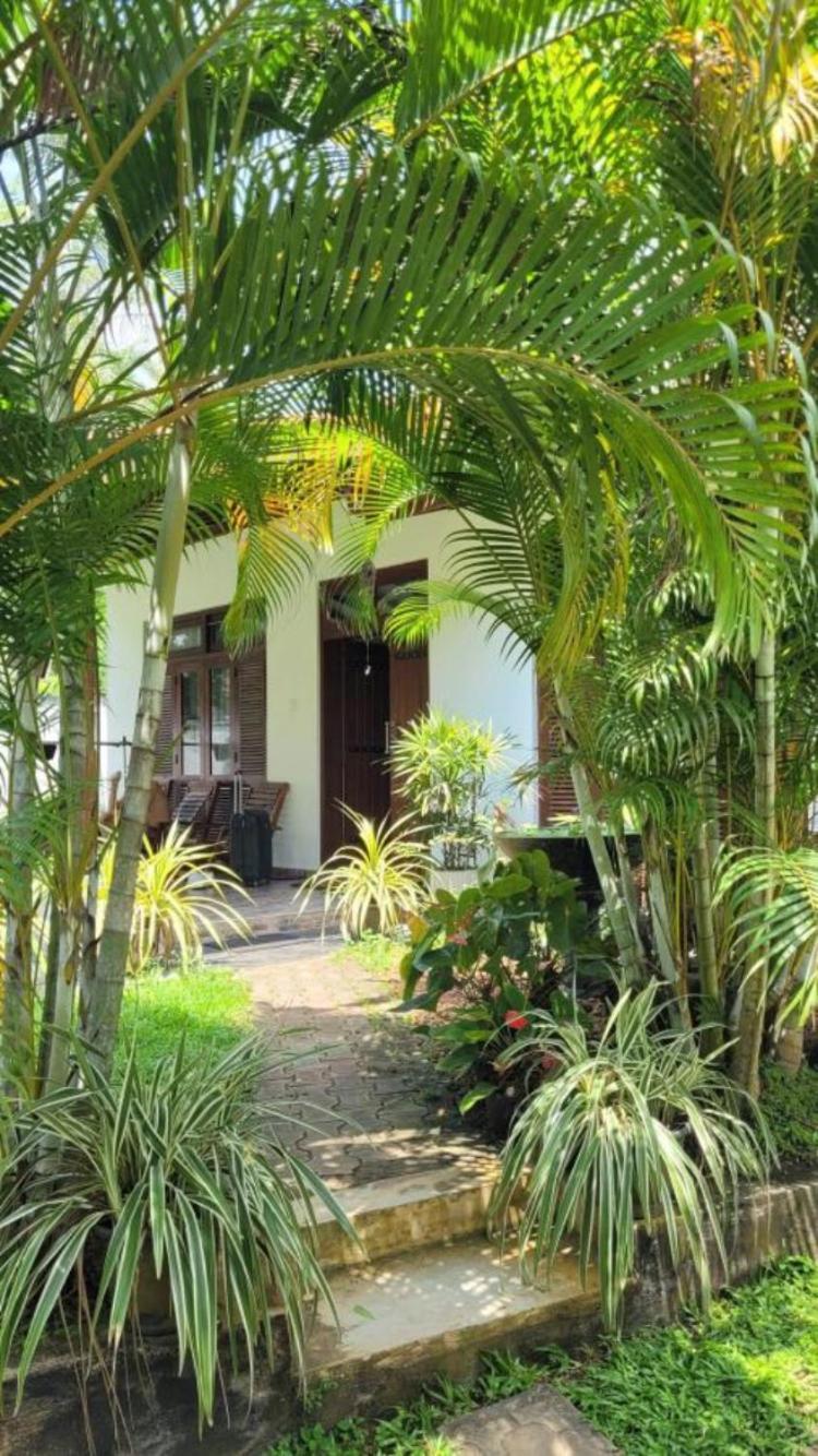 Mirewon Guest Ξενοδοχείο Weligama Εξωτερικό φωτογραφία